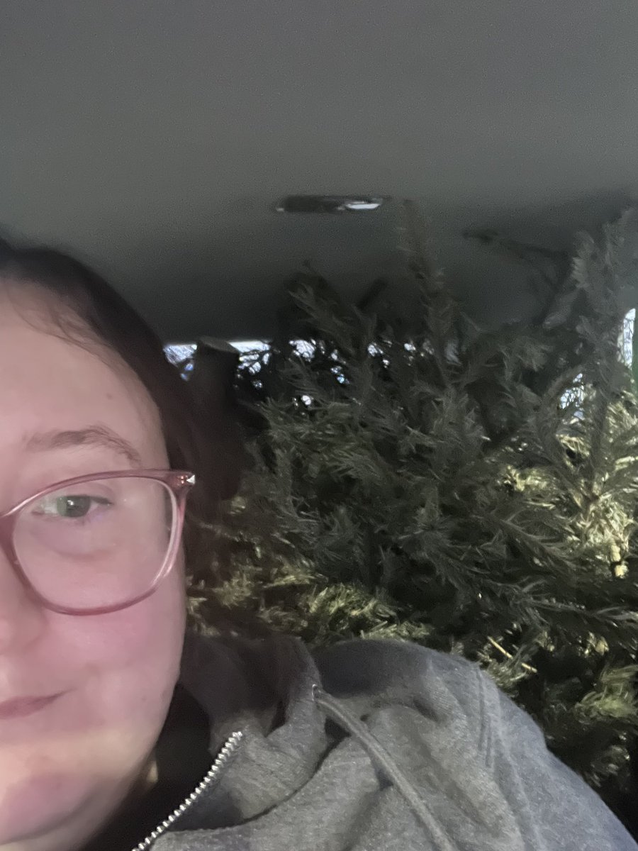 POV: you’re driving a tree across the city because <a href="/GlasgowCC/">Glasgow City Council</a> only care about those big council tax bracket houses.