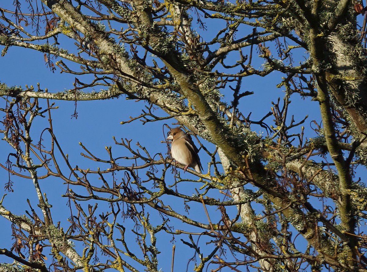 Matt Eade tweet media