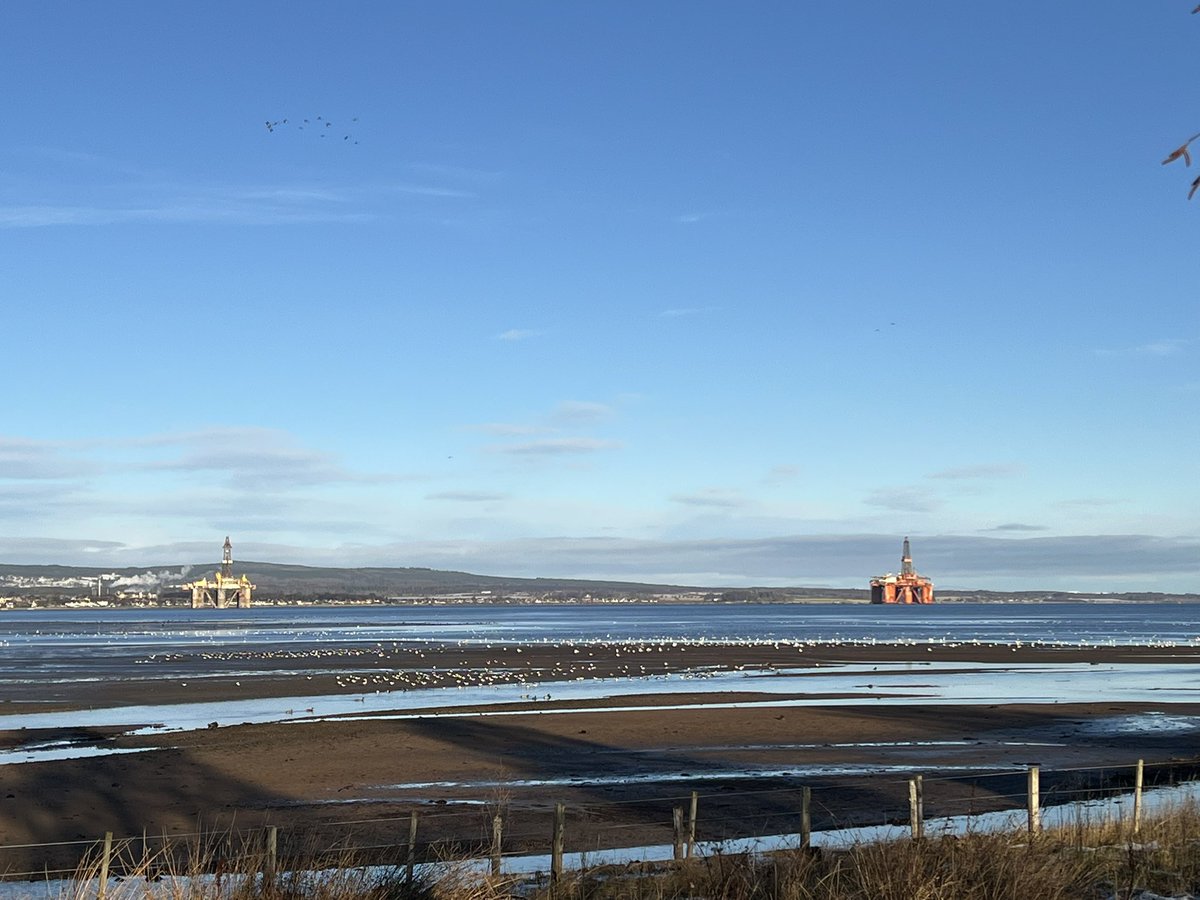 Matt Eade tweet media