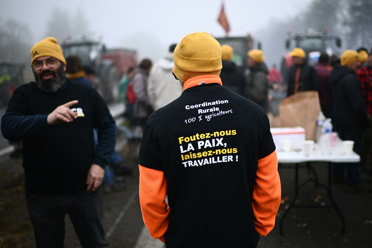 leparisien_eco's tweet photo. Colère des agriculteurs : les autorités interdisent « tout rassemblement non déclaré » au centre de Paris et à Rungis ce dimanche
➡️ https://t.co/UI9vlbzinJ https://t.co/1zfaFwL2yP