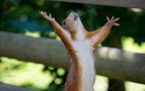 Spirit of too much money, I command you to attack me!