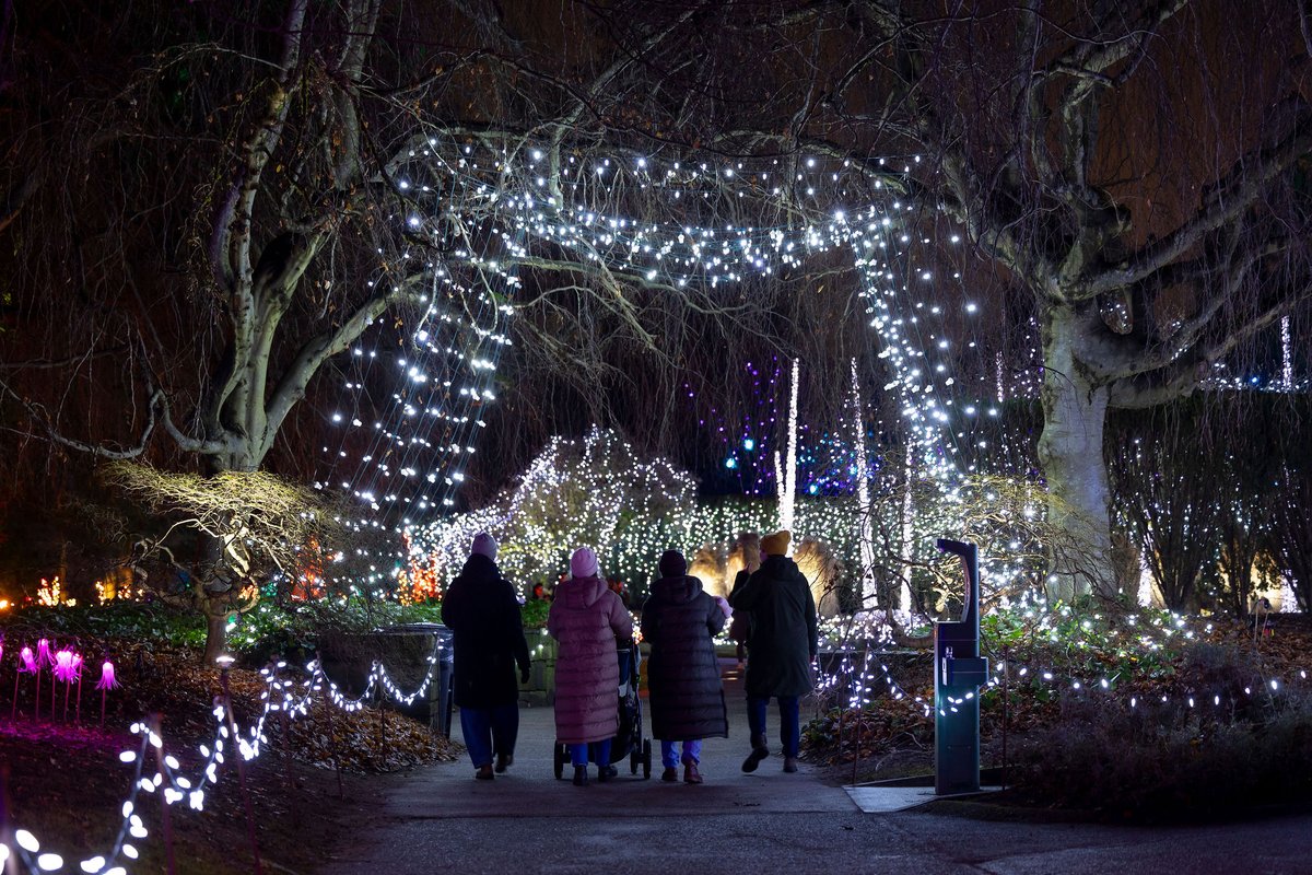 VanDusen Garden (@vandusengdn) on Twitter photo 🎅 Looking for one last festive adventure? Bring your rain boots and join us under the lights. 🌧️ Enjoy 15% off tickets through January 5 when you use the promo code RAINYDAY at checkout. 🎅 Looking for one last festive adventure? Bring your rain boots and join us under the lights. 🌧️ Enjoy 15% off tickets through January 5 when you use the promo code RAINYDAY at checkout.