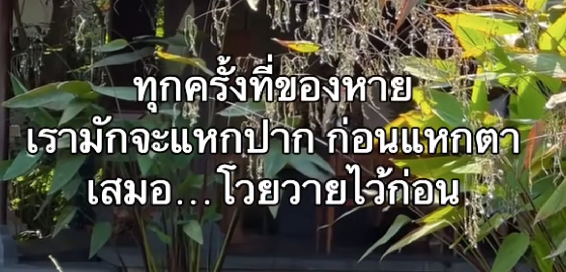 ช่างแม่ง🐰🏳️‍🌈 tweet media