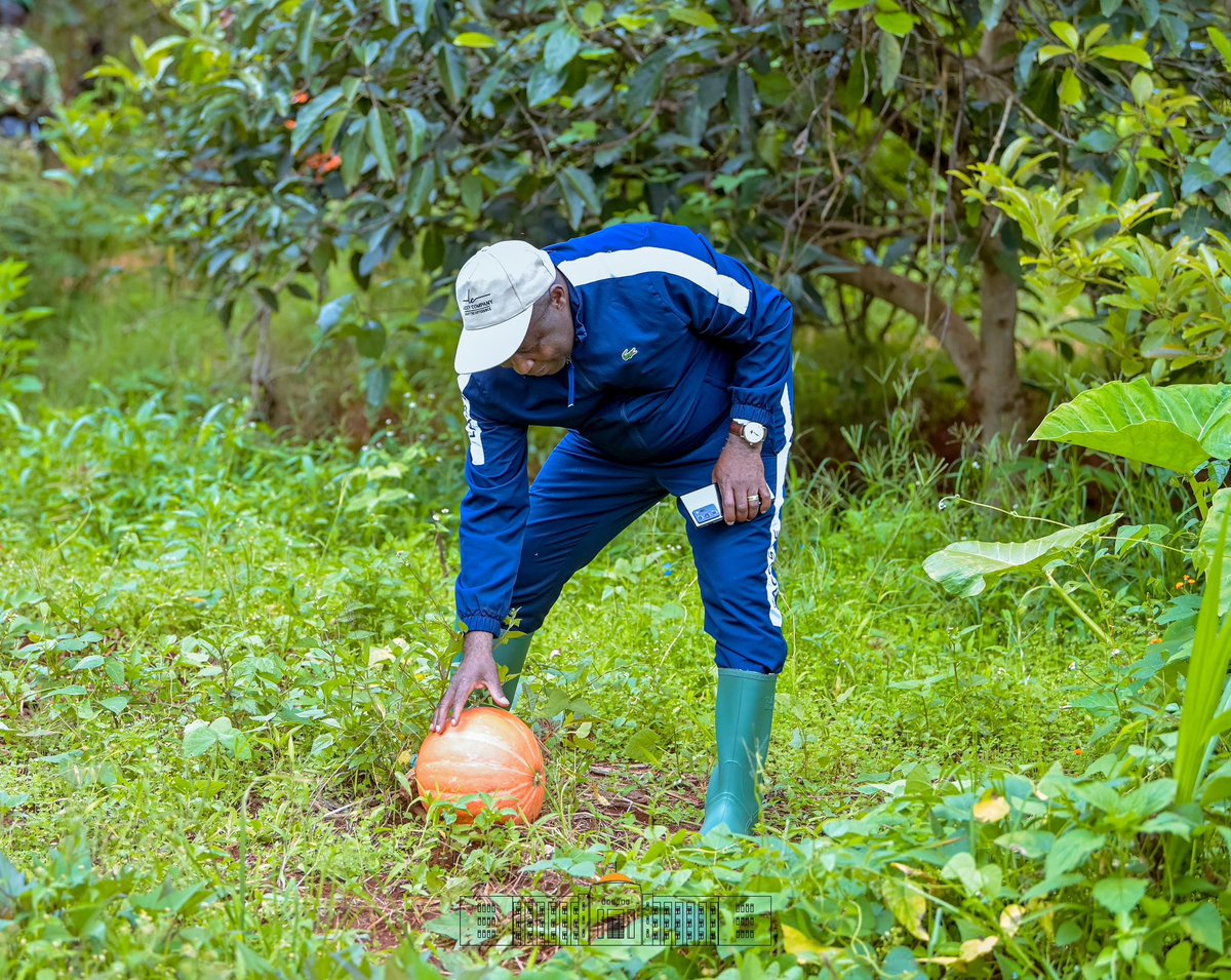 Imana yarahezagije Uburundi isi imerako ibiterwa vyose.
Umurundi wese akuye amaboko mu mpuzu, tukarima, tukabungabunga Edeni Imana yaduhaye nk’uko ibidusaba mw’ijambo ryayo (itanguriro 2:15), nta nkeka ko umwimbu uzoba umusesekara, n’iterambere rikurikire