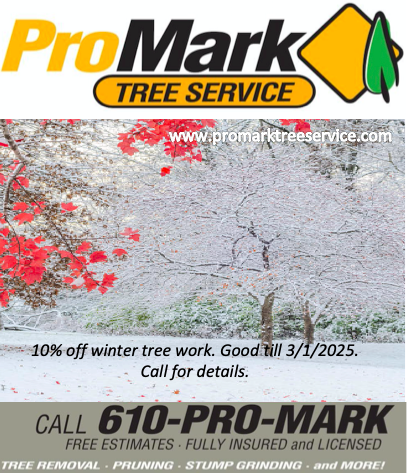 ProMark_Inc's tweet photo. Start off the new year with savings! 10% off winter tree work. Call the Pros @ ProMark 610.754.7400 https://t.co/NyNCO4yfxA