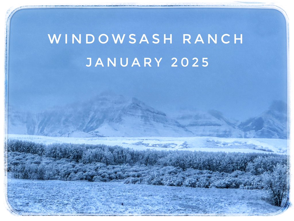A beautiful morning after a January blizzard at the Windowsash Ranch.