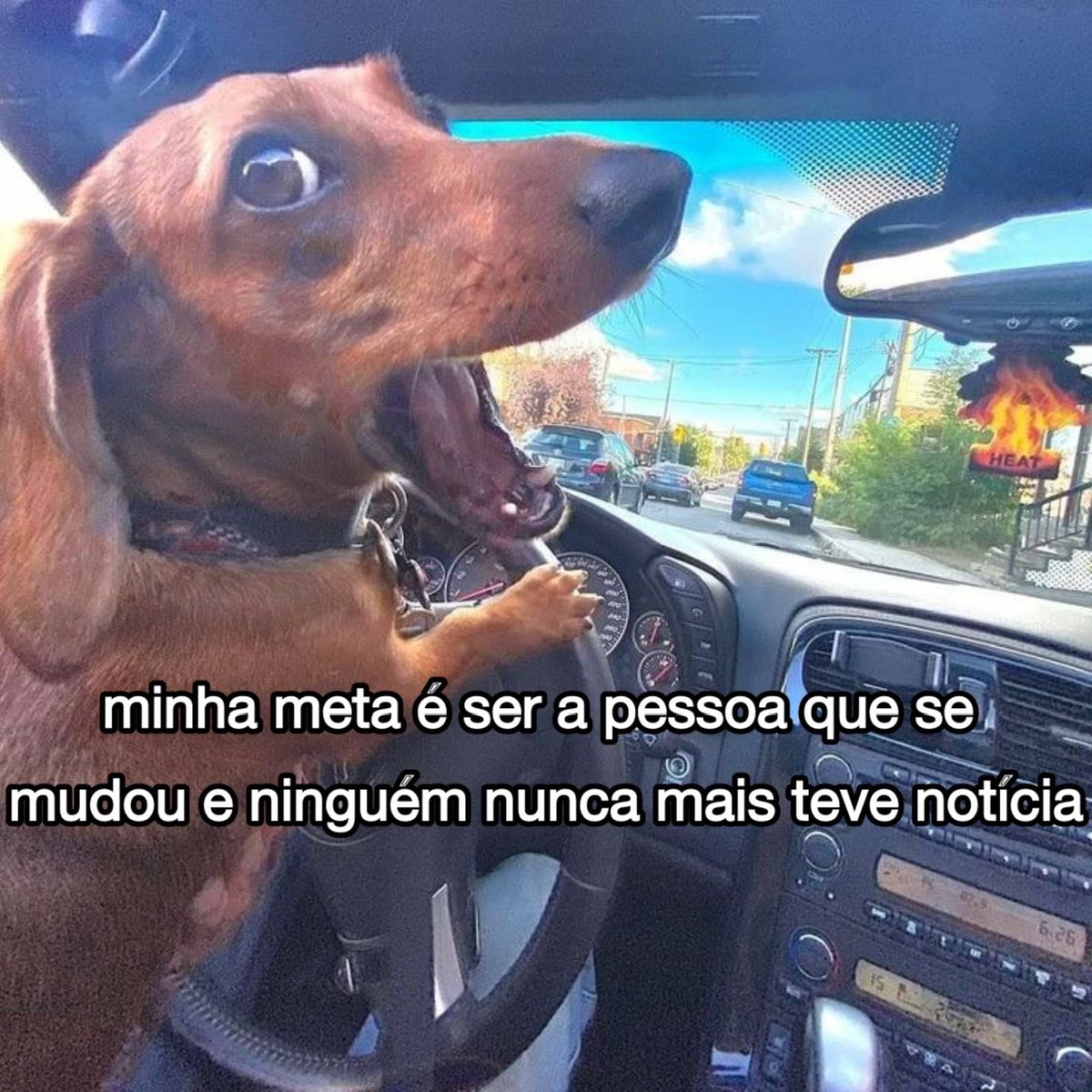 NazareAmarga's tweet photo. a meta pra 2025 https://t.co/37YvnZE0i9