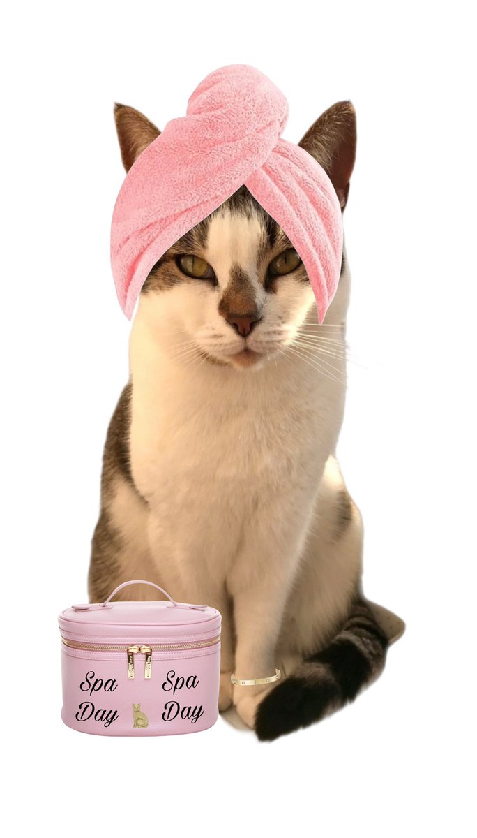 #HWCAFE ❤️😺💞 happy caturday everyone &amp; what a perfect start to the new year- a rejuvenating spa day with lovely friends! 🐾💖