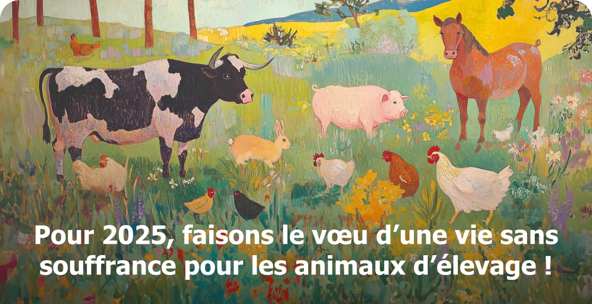 Toute l’équipe de Welfarm vous souhaite une excellente année 2025 !
Merci à vous tous et toutes qui nous soutenez 💚