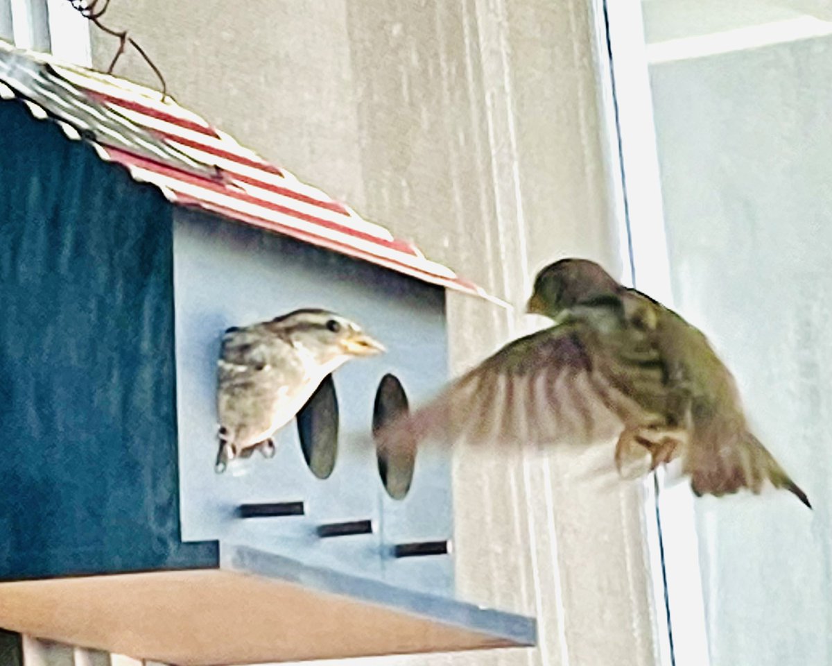 ShashiS89118637's tweet photo. @DailyPicTheme2 Happy Saturday morning 📸
#Fromyourwindow #DailyPictureTheme https://t.co/YdSqDqWYZF