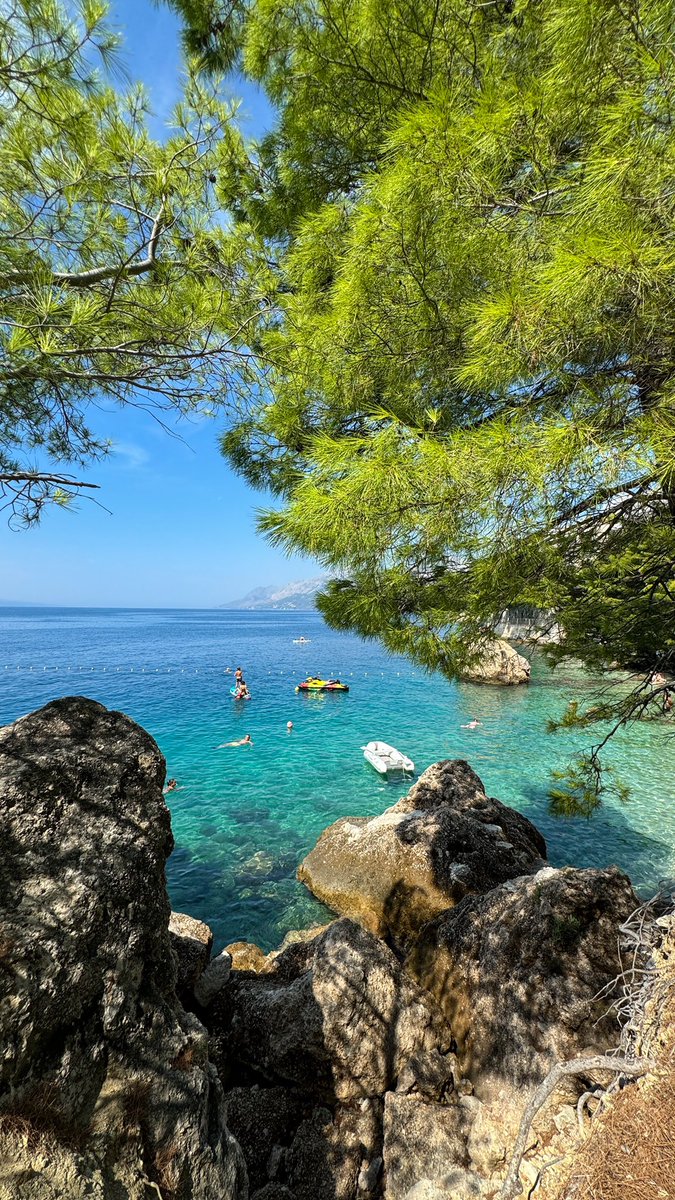 HomeRentAgency's tweet image. Always in a summer state of mind around here! 💭⏳🔜

Enjoy the best of Croatia with @_home_rent ☀️

#homerent #croatia #croatiafulloflife #beach #bestbeaches #summer #holiday #enjoycroatia #vacation #luxuryvillas #villasincroatia