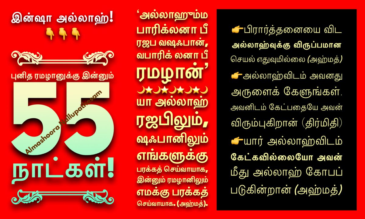 Almashoora Latest News tweet media