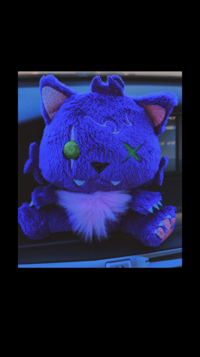 Went book hunting at goodwill but found this little guy instead 💜🐾