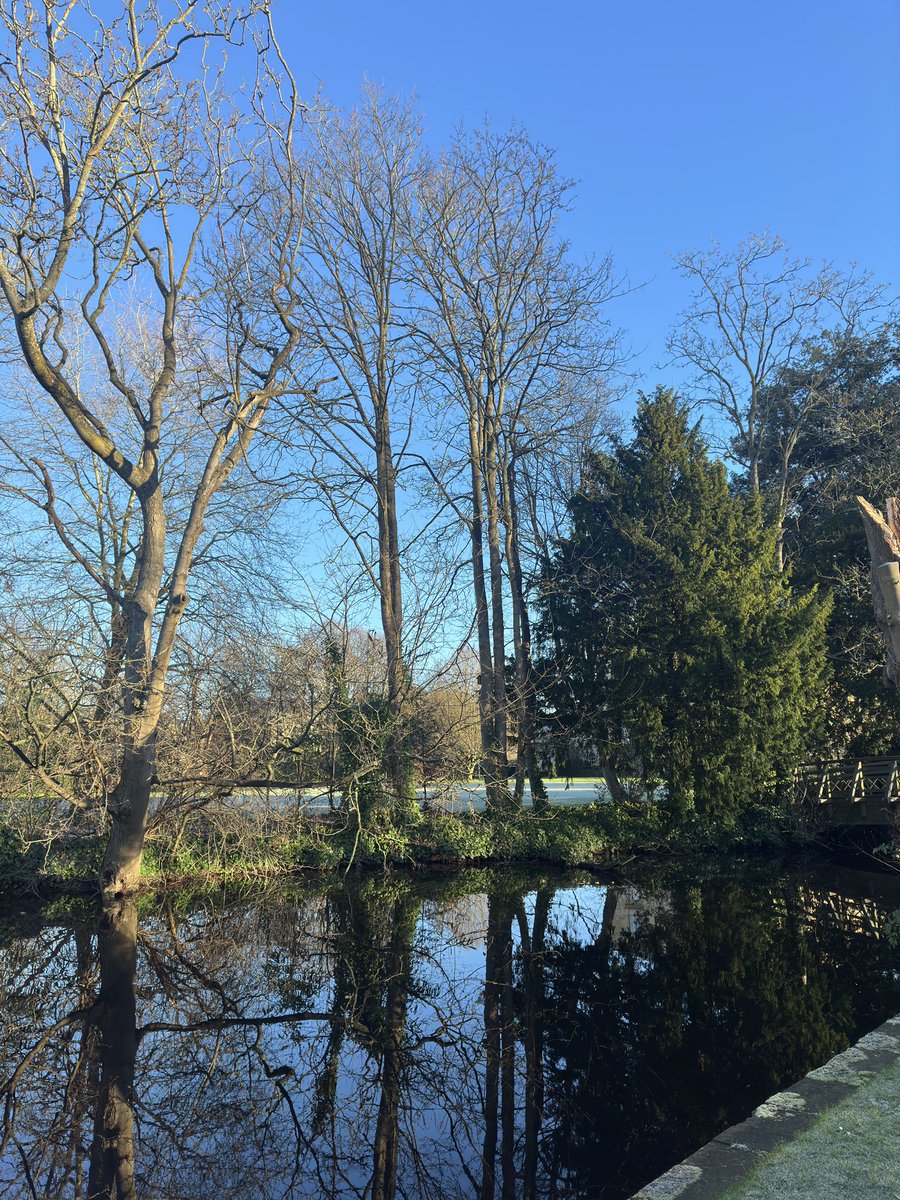 FedosovaAna's tweet photo. Worcester has opened up again after the break and it’s as beautiful as ever. Seeing snowdrops in January feels like a Christmas miracle to me, at home they only bloom in April. 

@WorcCollegeOx https://t.co/GLYZIB7CLf