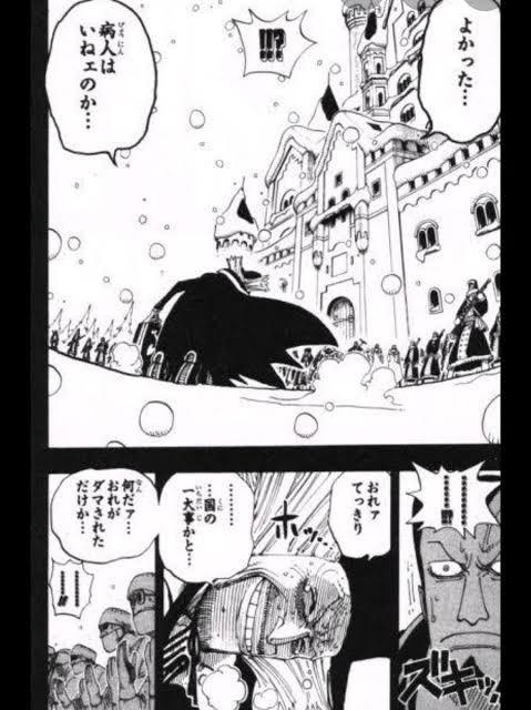 有村麻央、Dr.ヒルルク説 