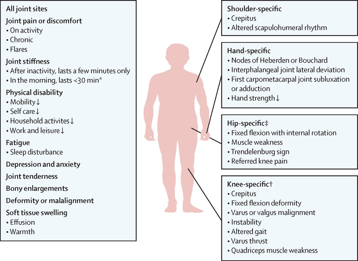 Despite progress in the understanding of osteoarthritis, this knowledge has not yet been translated into new treatment options.

A new Seminar discusses osteoarthritis, with a special focus on new developments over the last 5 years and gaps that remain: hubs.li/Q0313h7c0