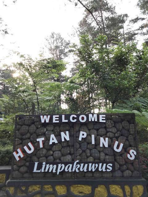 fauzanmuhajir's tweet photo. 🍃 PURWOKERTO 🍃

1. Curug Jenggala
2. Safari See To Sky
3. Hutan Pinus Limpakuwus
4. Baturraden Adventure Forest 

Ada punya rekomendasi lain “places to go” di Purwokerto? Share aja ya https://t.co/VrDBV6RpH0