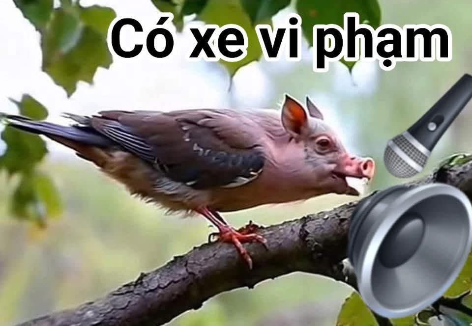 Phongther's tweet photo. "Một tay cầm súng Ak
Một tay viết luật chết cha đồng bào...".... https://t.co/q6WDjma5ZE