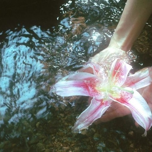 artindetails's tweet photo. serentiy in nature https://t.co/jqXby1UfW4