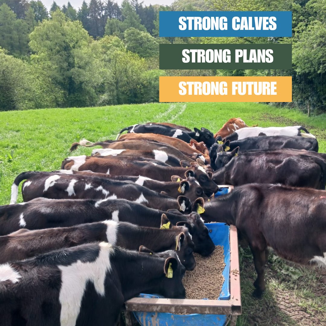 🐄 Positive Farmers Conference 2025 🌱

Tackle the key issues for farm success with:
✅ Workshops: Budgeting, land purchasing, &amp; calf health
✅ Big picture insights on grass-fed systems
✅ Farm resilience: Business, body &amp; mind
📅 15-16 Jan 2025
📍 Radisson Blu, Cork
#farming