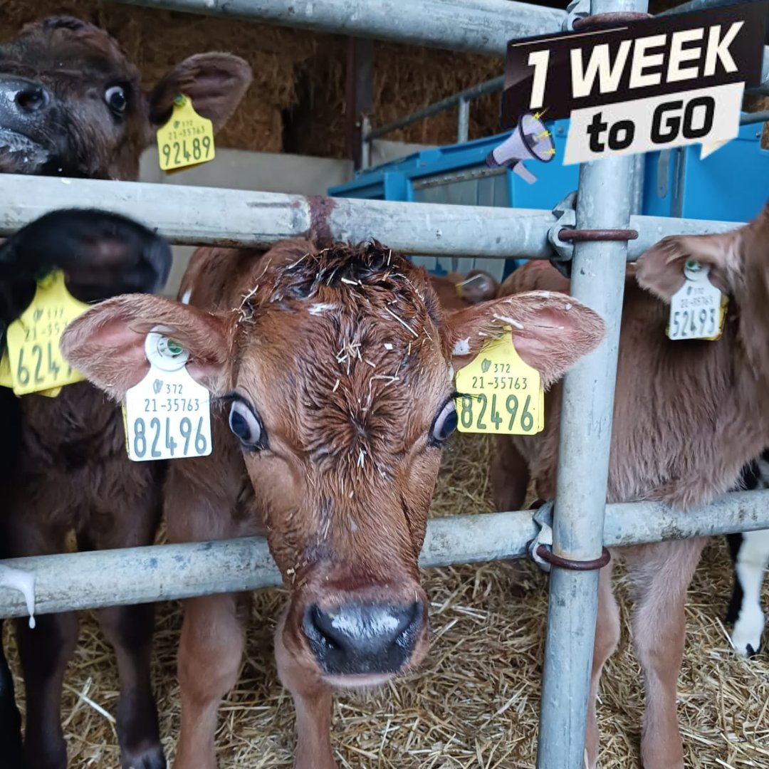 Positive Farmers tweet media