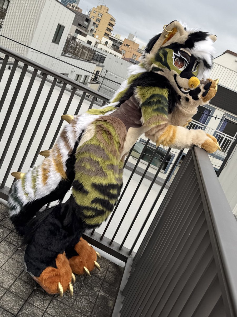 FerneVixen's tweet photo. 🐾
Happy new year everypony!
🎊 https://t.co/pgkT9g8FPV
