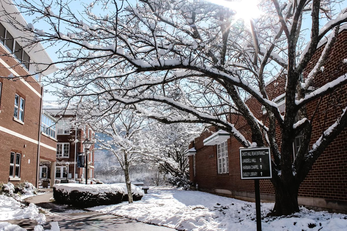 JT Powell tweet media