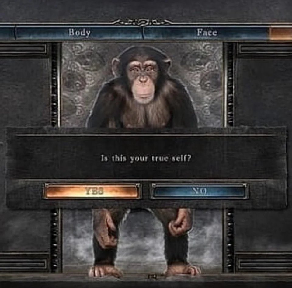 Milk Ape 🦍 (@milk__ape) on Twitter photo 