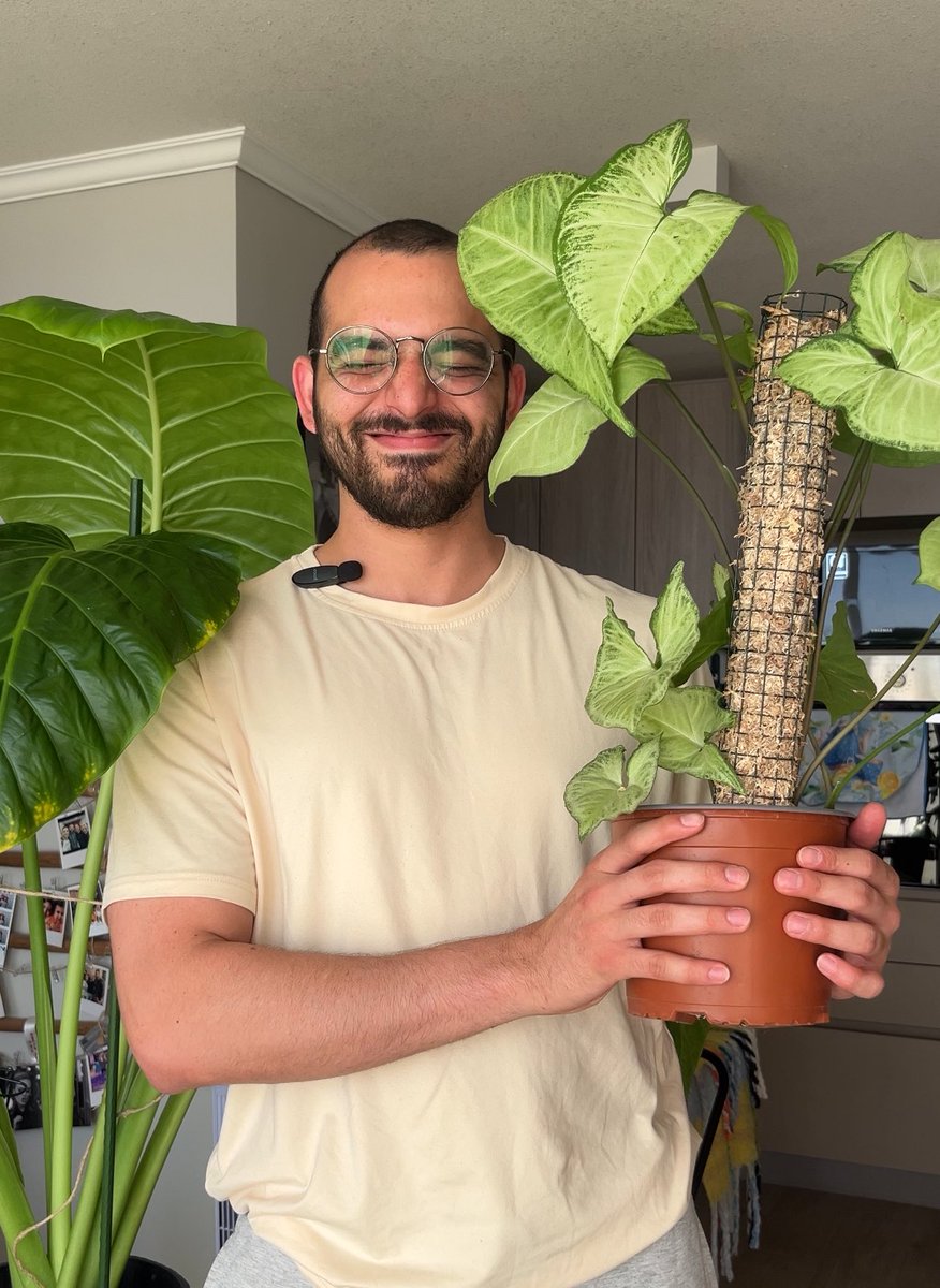 loaizing's tweet image. 🪴💚