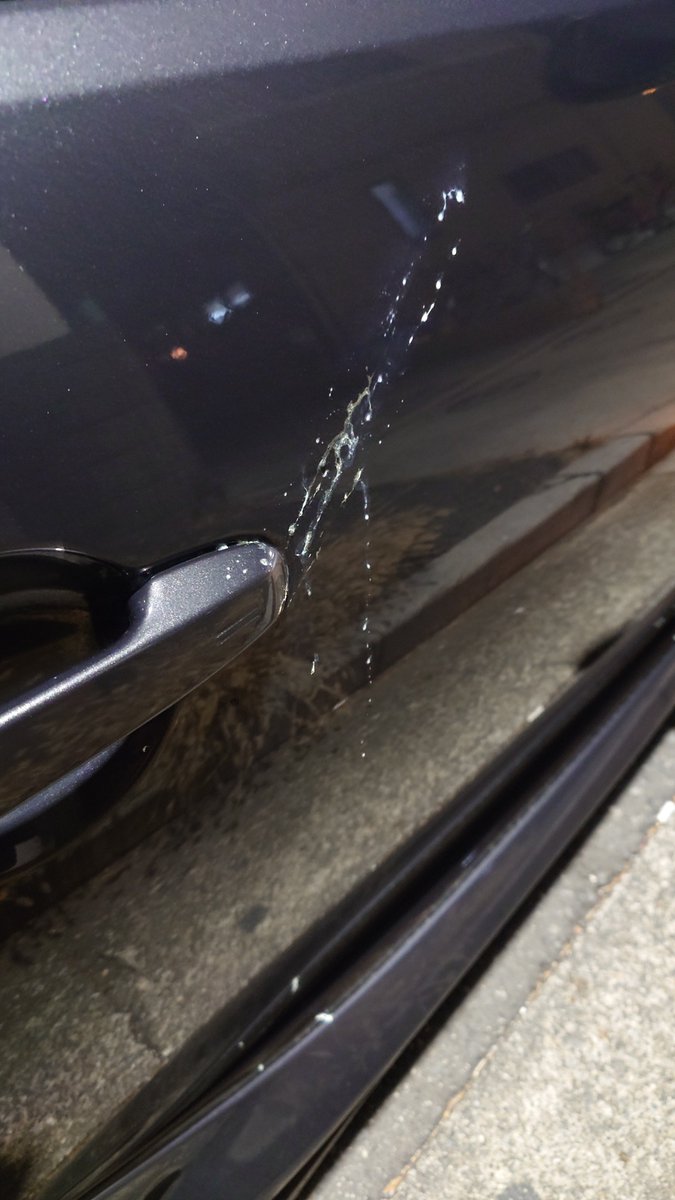 takashi0817's tweet photo. 昨晩、新年早々の焼鳥案件😭
しかも仕事帰りで夜だったので洗車も出来ず…

でも年末に買った純水器と施工してたBLASK NO.12のお陰で無事スッキリ🥰

流しただけだったけど、さっき見た限りは水シミ残りとかもなかった！

純水器はもっと早く買っておけば良かったなぁ

#HydroCleanPRO
#BLASK https://t.co/pZqz4LaVOu