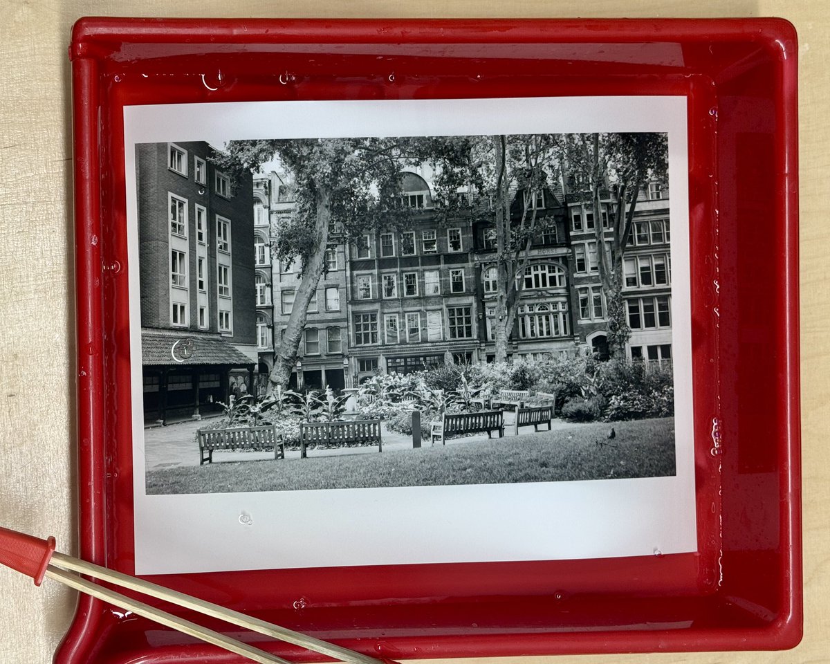 Postman’s Park, City of London, #London, UK.
One of the City’s hidden gems, and my favorite spot to take a brief rest during a stroll.
Fresh print on 9x12in paper from 645 neg.
#mediumformat #ilfordphoto #bnw  #monochrome #blackandwhitephotography #shootfilm #silvergelatinprint