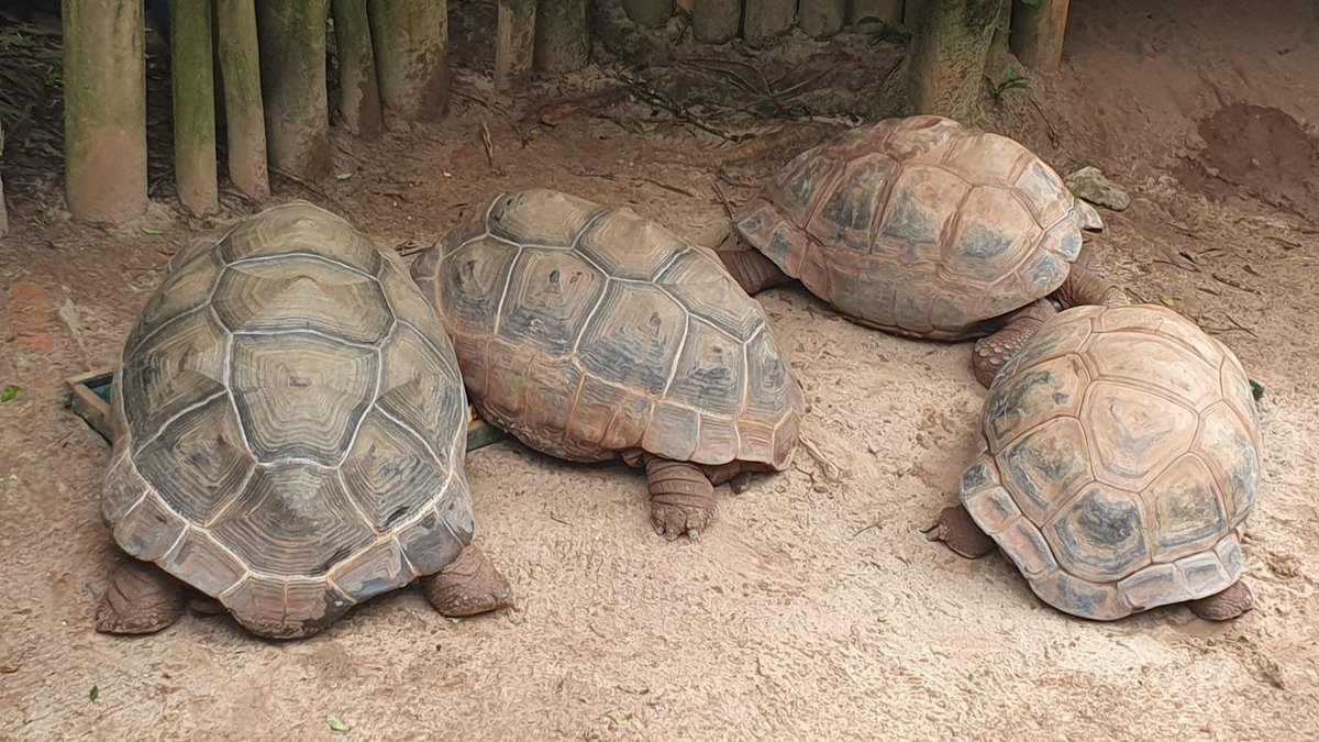 cryptictackle's tweet image. Family time