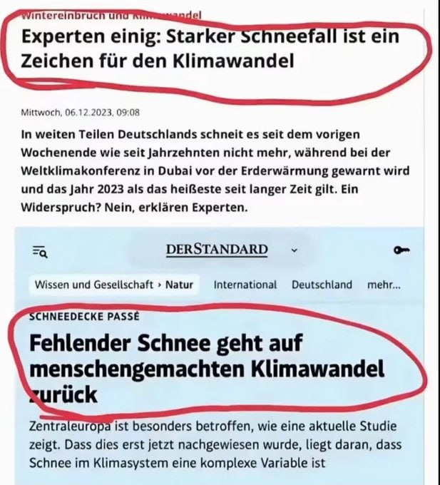 Rolly aus dem Ruhrgebiet #100%Biodeutsch tweet media