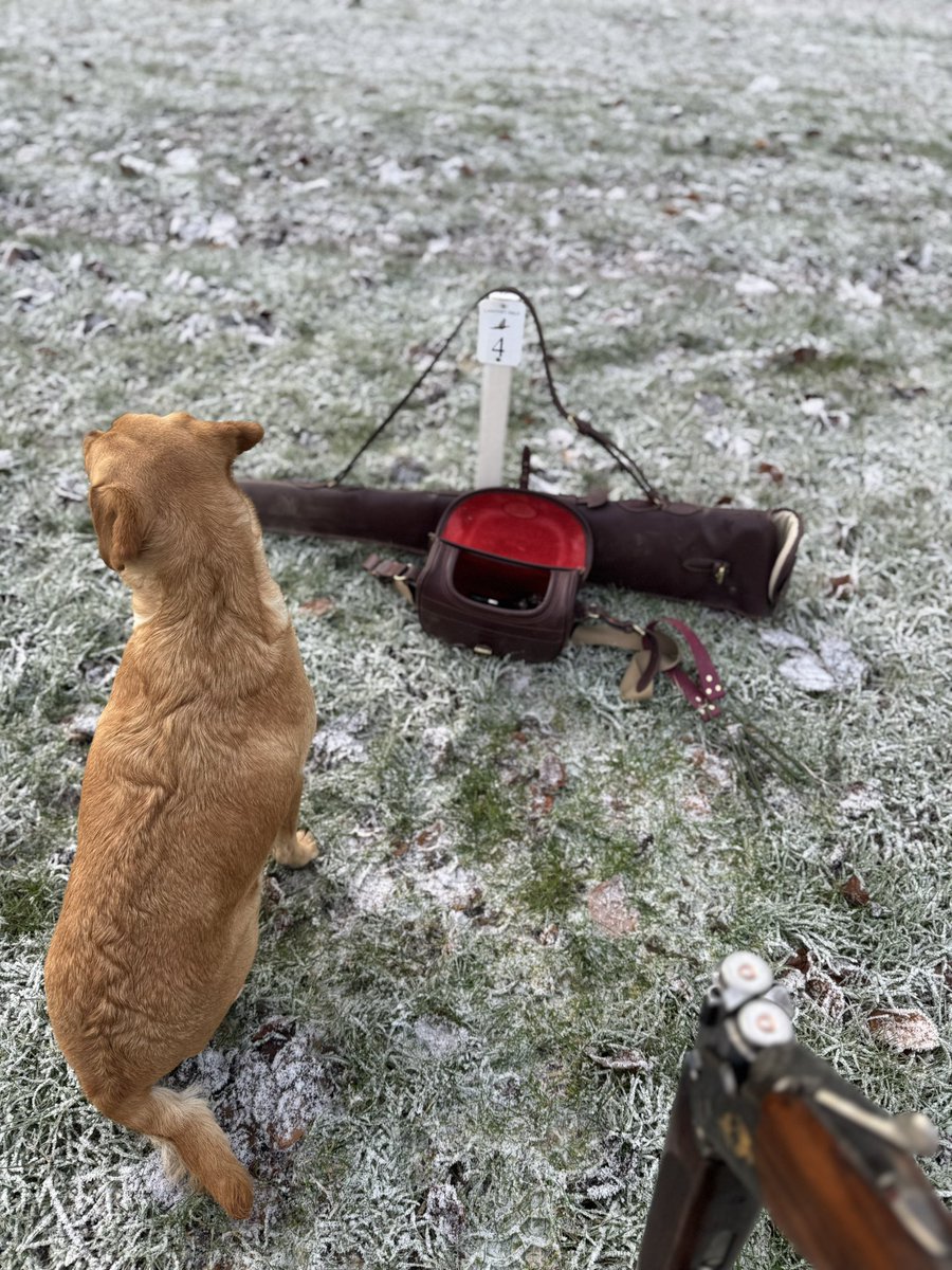 Charlotte ‘Garbs’ Wright tweet media