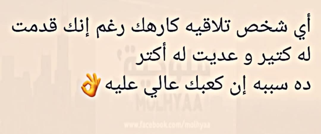 Alia Aidy (@aliaailly) on Twitter photo 