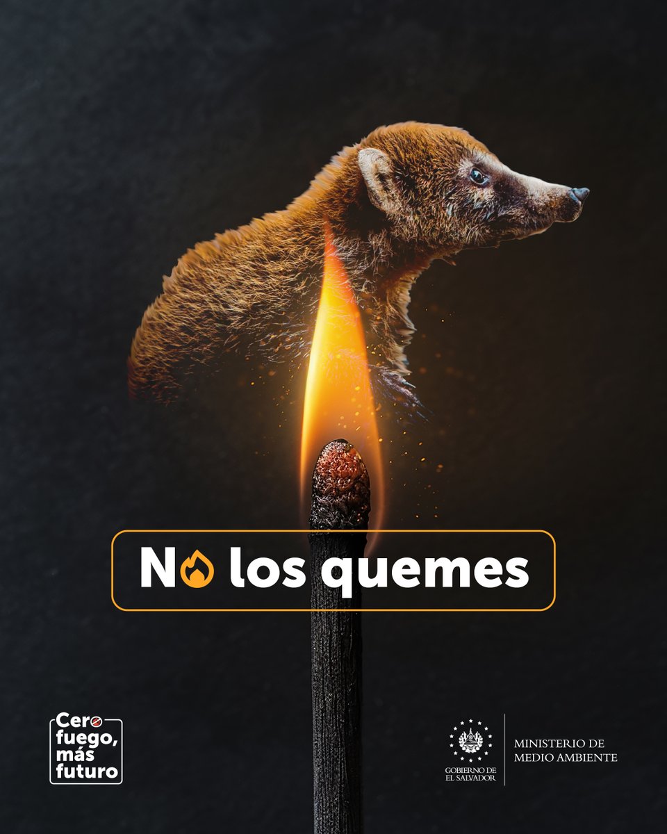 Los incendios forestales amenazan la vida de nuestra fauna silvestre.
 
No te arriesgues, evita las quemas y contribuye a la protección de nuestros ecosistemas.

#PrevenciónDeIncendios