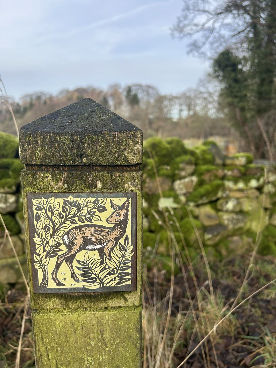 Nice bimble around Geltwoods and Greenwell until I got to the path through the Hayton estate where the toffs were blasting the Pheasants out the sky. The toff hangers on were chasing them out the undergrowth it sounded like a war zone  Tw**s