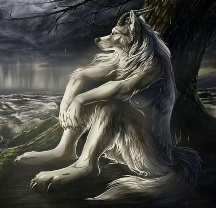 solestiales's tweet image. Hoy descubrí una faceta nueva mia.... Es que soy un lobo alfa.... A veces... Yo qué se... 🐺🚬 auuuuuu.... 🐺🐺🐺
