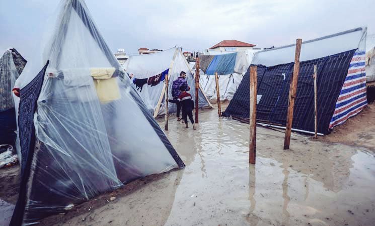 Are you interested? Please do not skip this.

We almost died from the extreme cold of the tents. 💔

Please don't stop praying for us and help us protect ourselves from cold and diseases. 🫂🇵🇸

Donate what you can here:
gofund.me/f7d76598