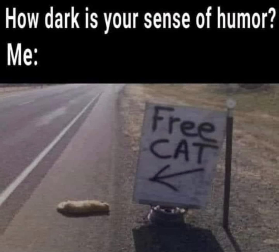 Inch_Creek's tweet photo. Happy Caturday. https://t.co/ityJKFYoqf