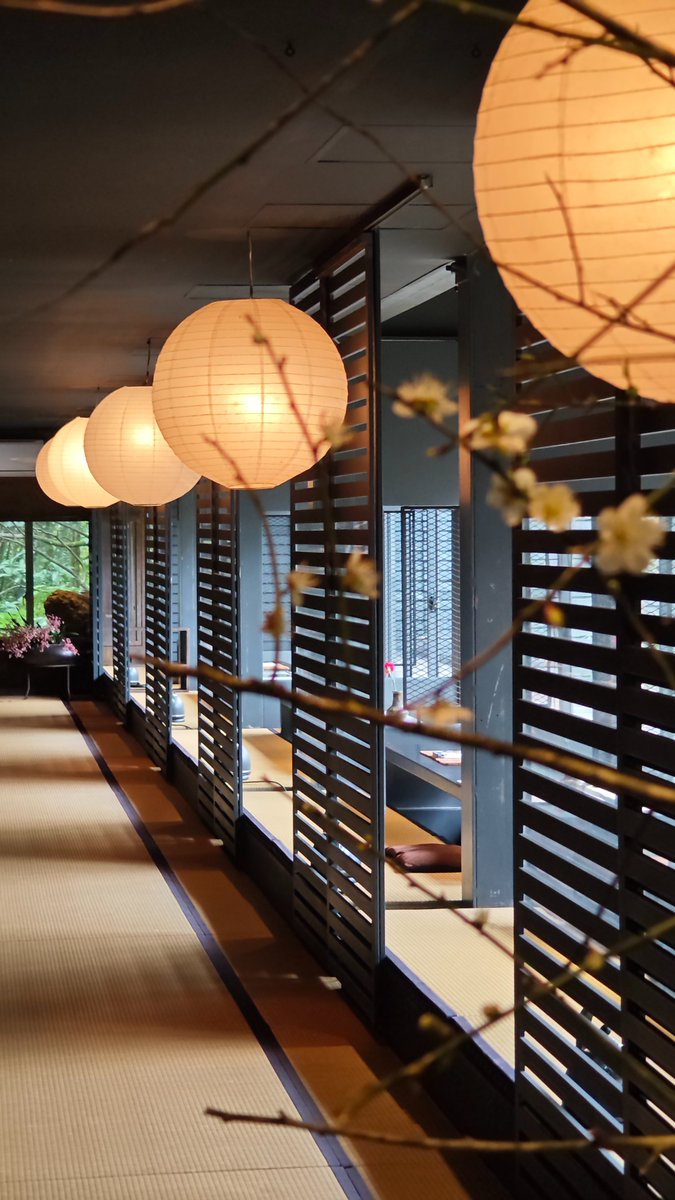 人生紛擾事，留待來日行