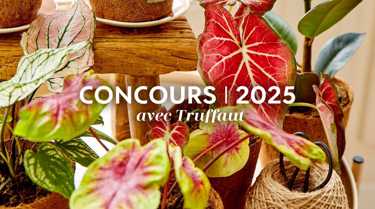 Truffaut tweet media