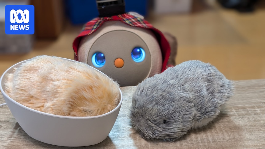 Stopthestigma's tweet image. Rise of AI and loneliness drives demand for robot pets abc.net.au/news/2025-01-0… #AIpet #companionshiprobot #socialrobot