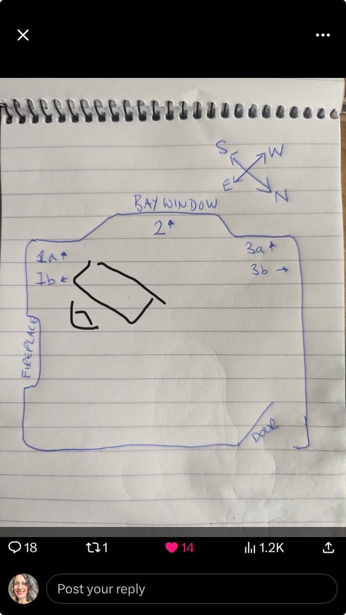 Laura Frances Martin 〓〓 (@laurafrancesmar) on Twitter photo <a href="/RachelDelahaye/">Rachel Delahaye = racheldelahaye.bsky.social</a> this?! Best of all worlds?! Forgive terrible drawing as I have plasters on the best drawing fingers 😂🙏🏼 <a href="/RachelDelahaye/">Rachel Delahaye = racheldelahaye.bsky.social</a> this?! Best of all worlds?! Forgive terrible drawing as I have plasters on the best drawing fingers 😂🙏🏼