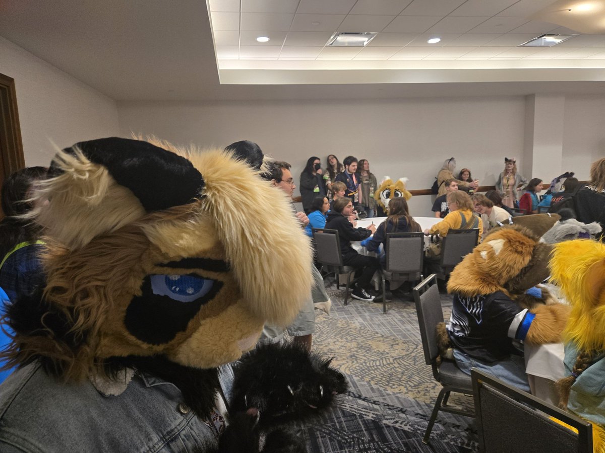 Mister_Maow's tweet image. Cat meet up at #PDFC2025