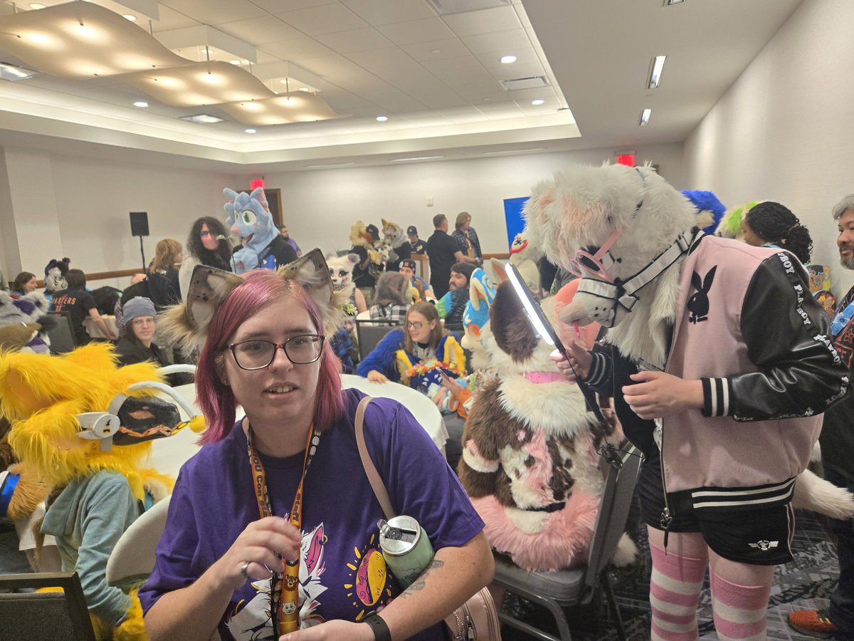 Mister_Maow's tweet image. Cat meet up at #PDFC2025