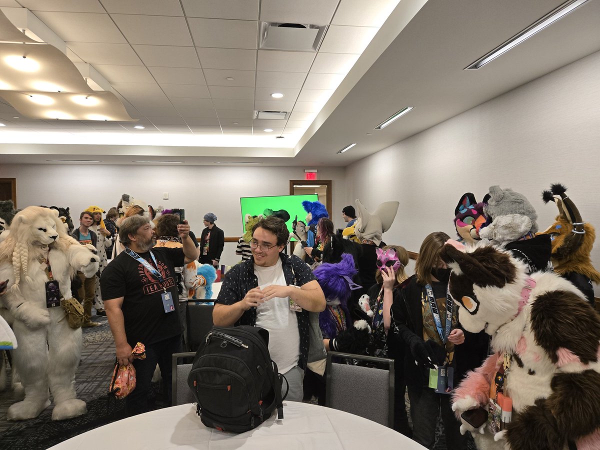 Mister_Maow's tweet image. Cat meet up at #PDFC2025