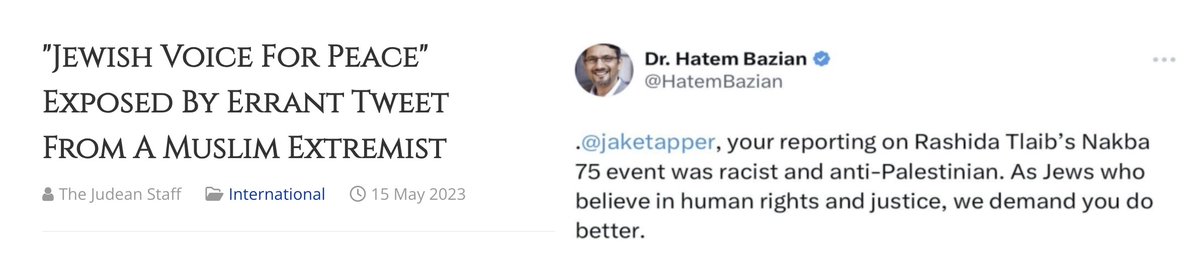 Jewish Voices for Peace is not run by Jews.