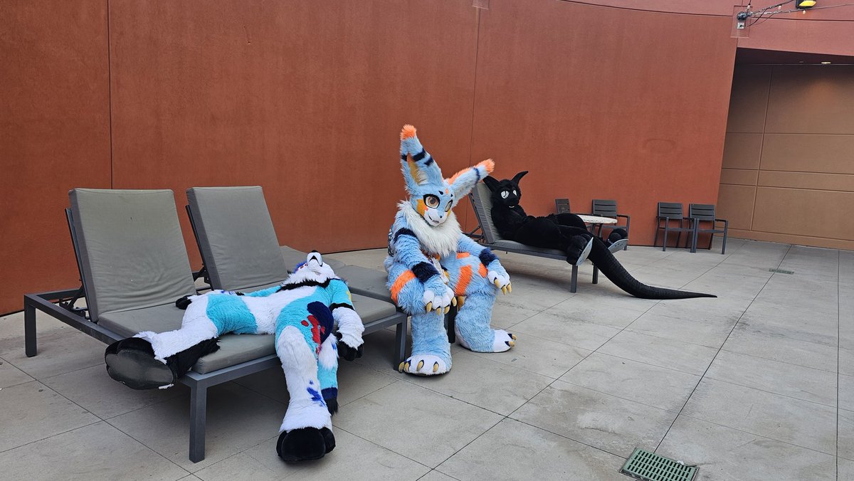 FurryChi's tweet image. Fourth floor shenanigans rn
#PDFC2025 💜