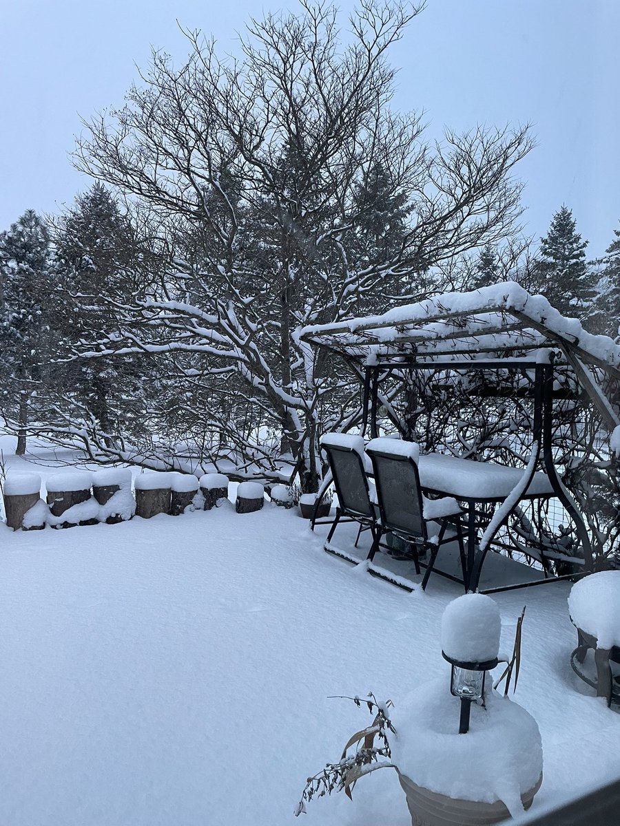 Xue-Long Sun tweet media